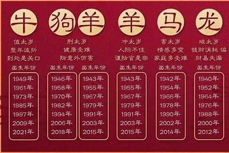 2023年属|2023年生肖属什么？